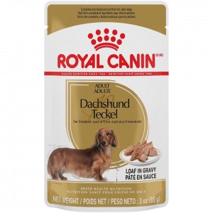 10lb Royal Canin Dachshund Loaf In Gravy Pouch Wet Dog Food USA | 108253-LBC