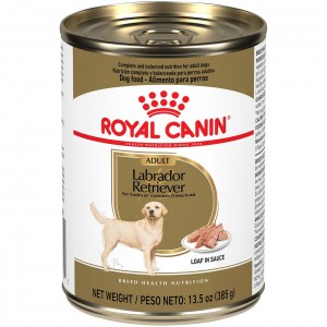 12 x 13.5oz Royal Canin Labrador Retriever Adult Loaf in Sauce Canned Wet Dog Food USA | 052943-WOA