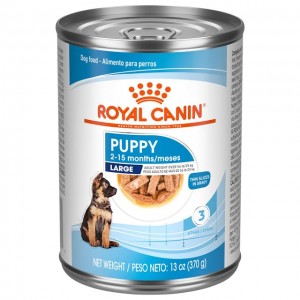 12 x 13oz Royal Canin Large Puppy Thin Slices in Gravy Wet Dog Food USA | 618239-OJV