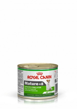 1 x 150g Royal Canin Mature 8+ Loaf in Sauce Canned Wet Dog Food USA | 875462-UIT