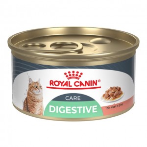 24 x 3oz Royal Canin Digestive Care Thin Slices In Gravy Canned Wet Cat Food USA | 679514-HYO