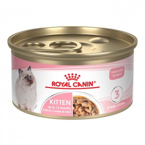 24 x 3oz Royal Canin Kitten Thin Slices in Gravy Canned Wet Cat Food USA | 704819-TUG