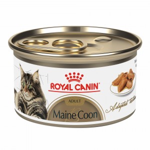 24 x 3oz Royal Canin Maine Coon Adult Thin Slices in Gravy Canned Wet Cat Food USA | 420713-WDS