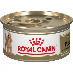 24 x 3oz Royal Canin Poodle Adult Loaf in Sauce Canned Wet Dog Food USA | 854719-ZNT