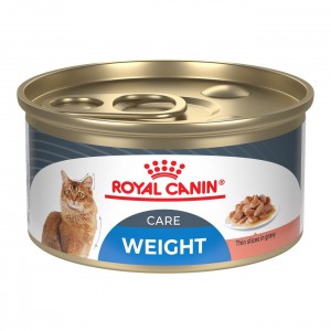 24 x 3oz Royal Canin Weight Care Thin Slices in Gravy Wet Cat Food USA | 892135-CIV