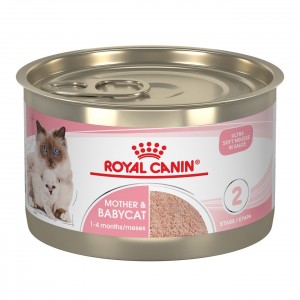 24 x 5.1oz Royal Canin Mother & Babycat Ultra Soft Mousse in Sauce Canned Wet Cat Food USA | 356079-UCA