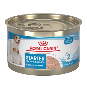 24 x 5.1oz Royal Canin Starter Mother & Babydog Ultra Soft Mousse In Sauce Wet Dog Food USA | 210968-FKR