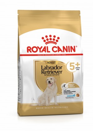 28lb Royal Canin Labrador Retriever Adult 5+ Dry Dog Food USA | 904286-WXY