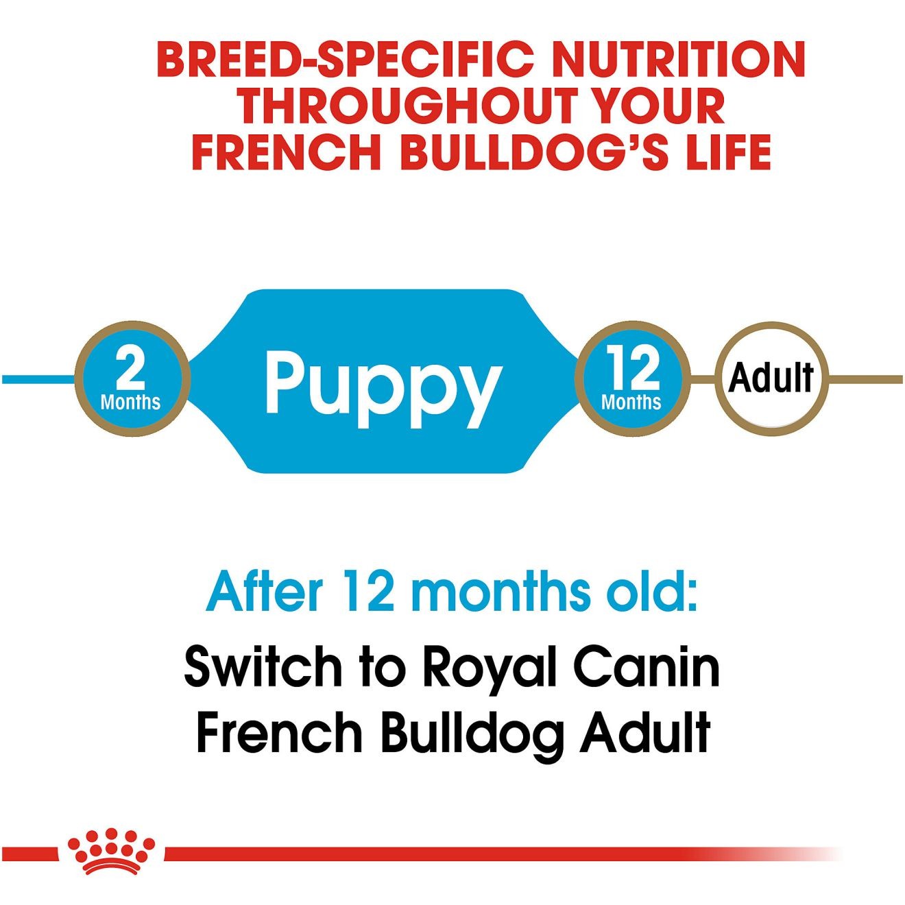 10.5lb Royal Canin French Bulldog Puppy Dry Dog Food USA | 209845-JBA