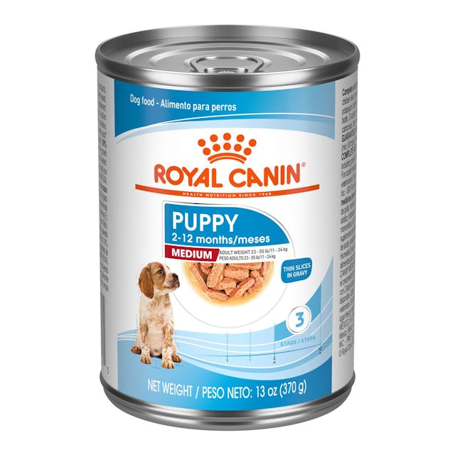 12 x 13oz Royal Canin Medium Puppy Thin Slices in Gravy Wet Dog Food USA | 361708-TJX