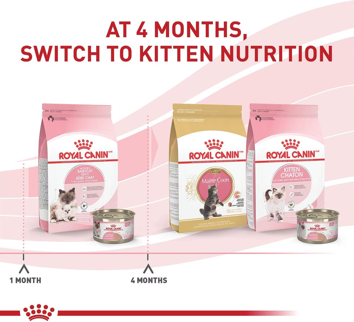 12 x 3oz Royal Canin Mother & Babycat Ultra Soft Mousse in Sauce Canned Wet Cat Food USA | 102734-LKM