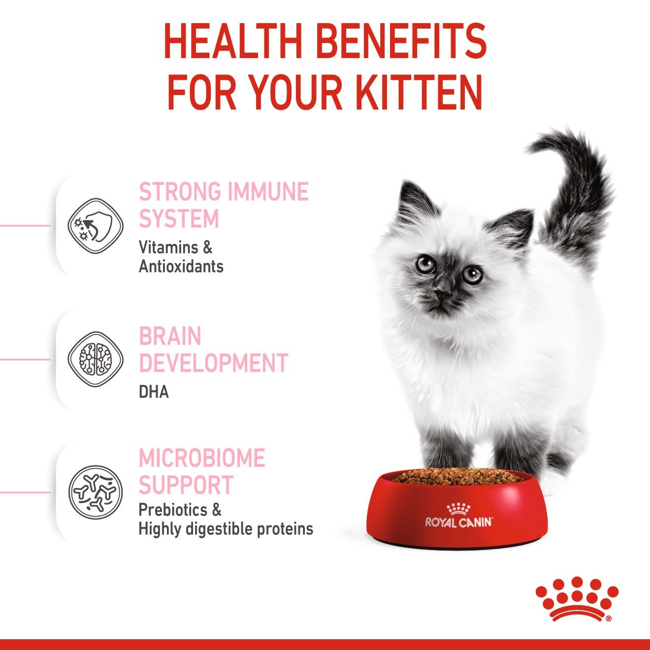 14lb Royal Canin Kitten Dry Cat Food USA | 489132-XGD