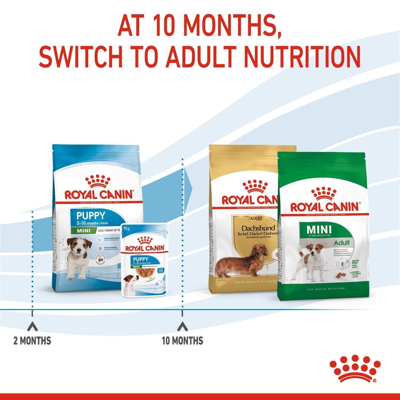 14lb Royal Canin Small Puppy Dry Dog Food USA | 537012-SUB