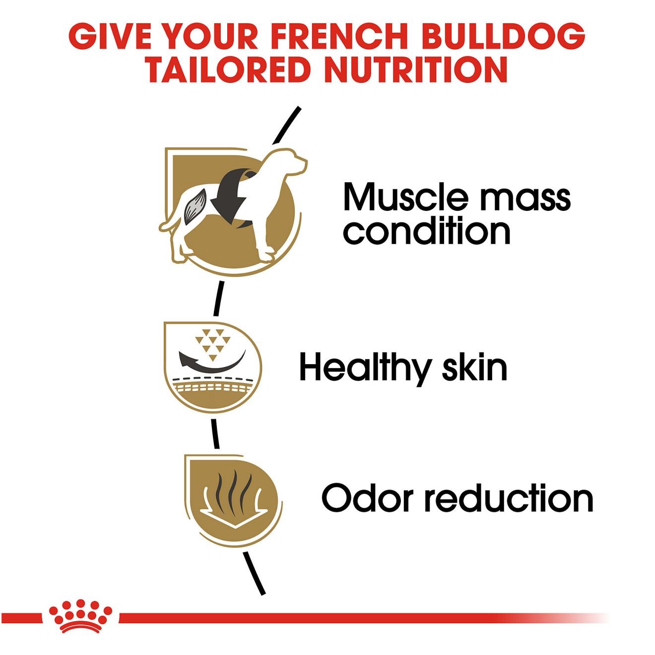 17lb Royal Canin French Bulldog Adult Dry Dog Food USA | 264978-MSC