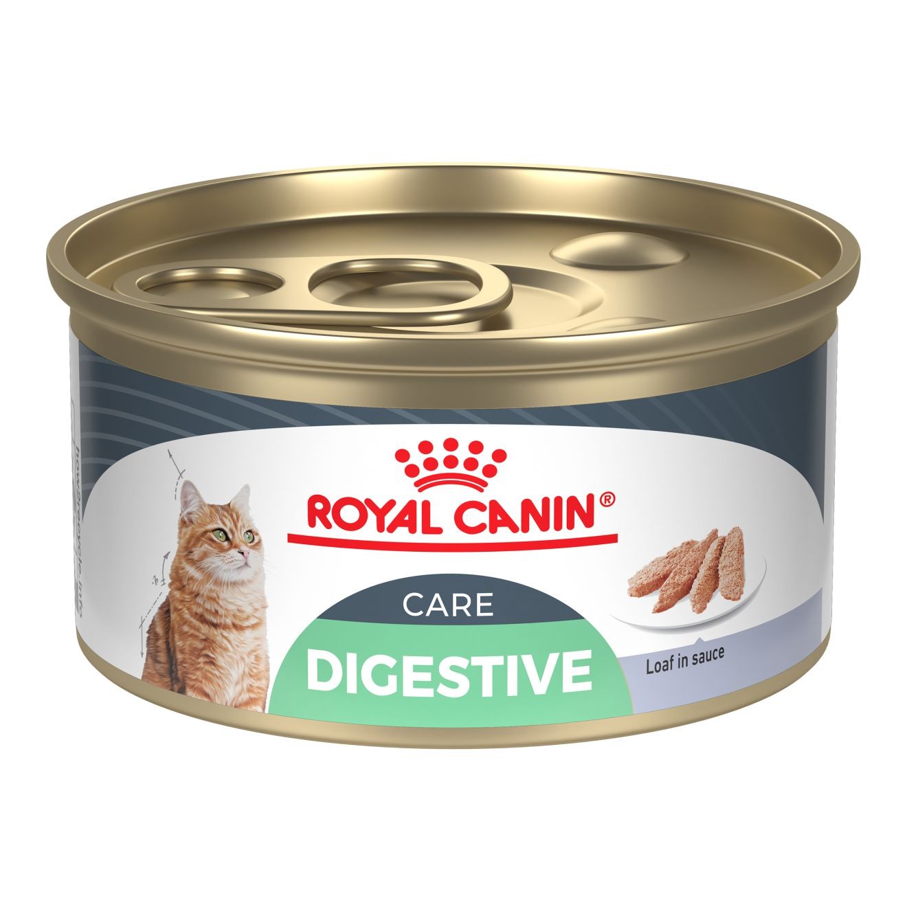 24 x 3oz Royal Canin Digestive Care Loaf In Sauce Wet Cat Food USA | 182957-HTQ