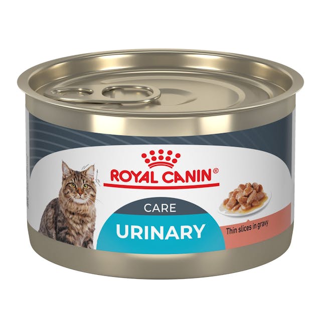 24 x 5.1oz Royal Canin Urinary Care Thin Slices In Gravy Canned Wet Cat Food USA | 573816-QME