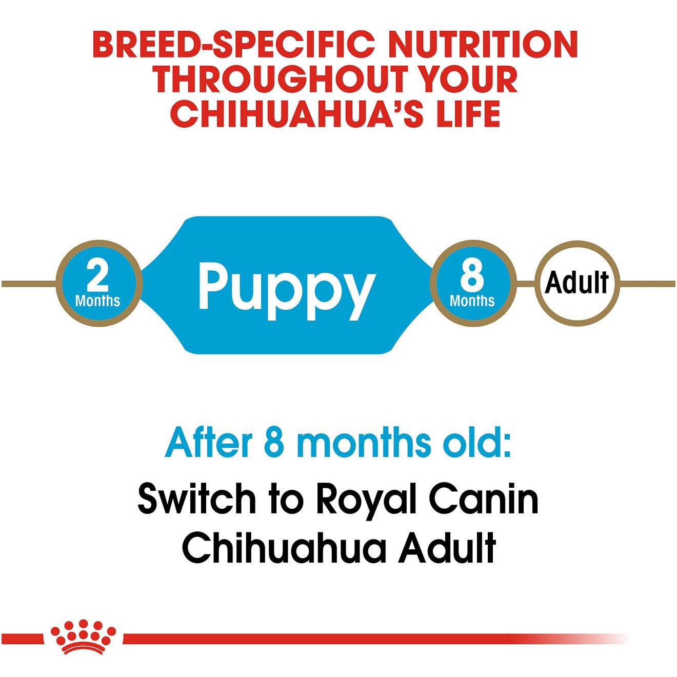 2.5lb Royal Canin Chihuahua Puppy Dry Dog Food USA | 527641-UMC