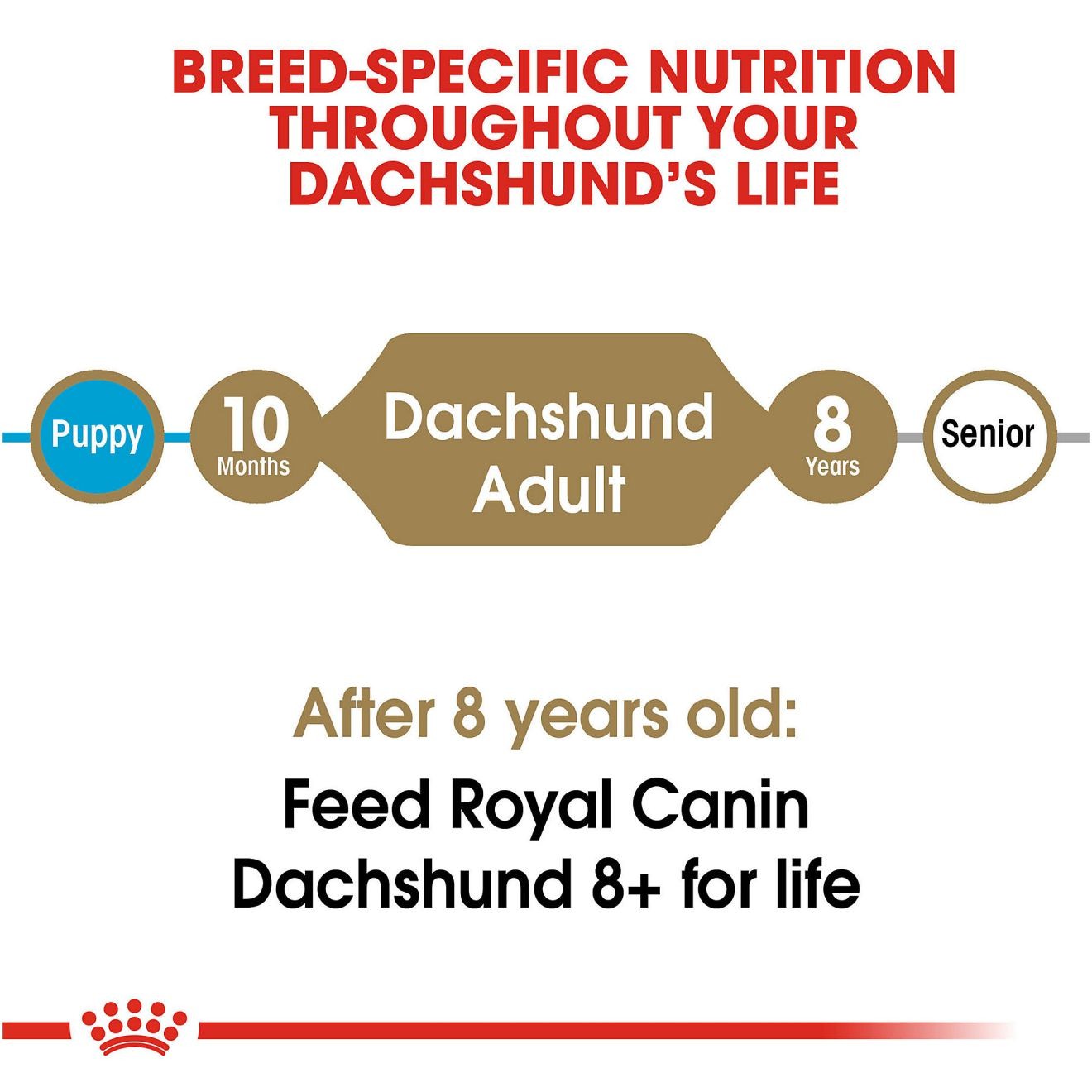 2.5lb Royal Canin Dachshund Adult Dry Dog Food USA | 159302-OMC