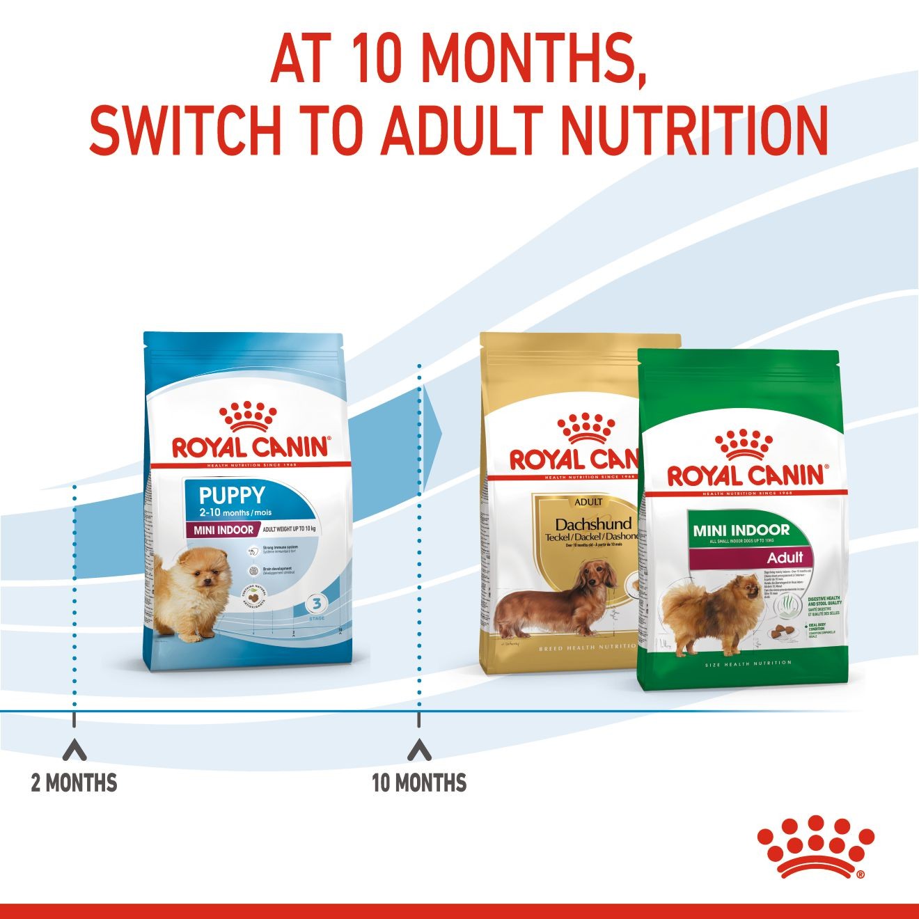 2.5lb Royal Canin Small Indoor Puppy Dry Dog Food USA | 453017-BMP