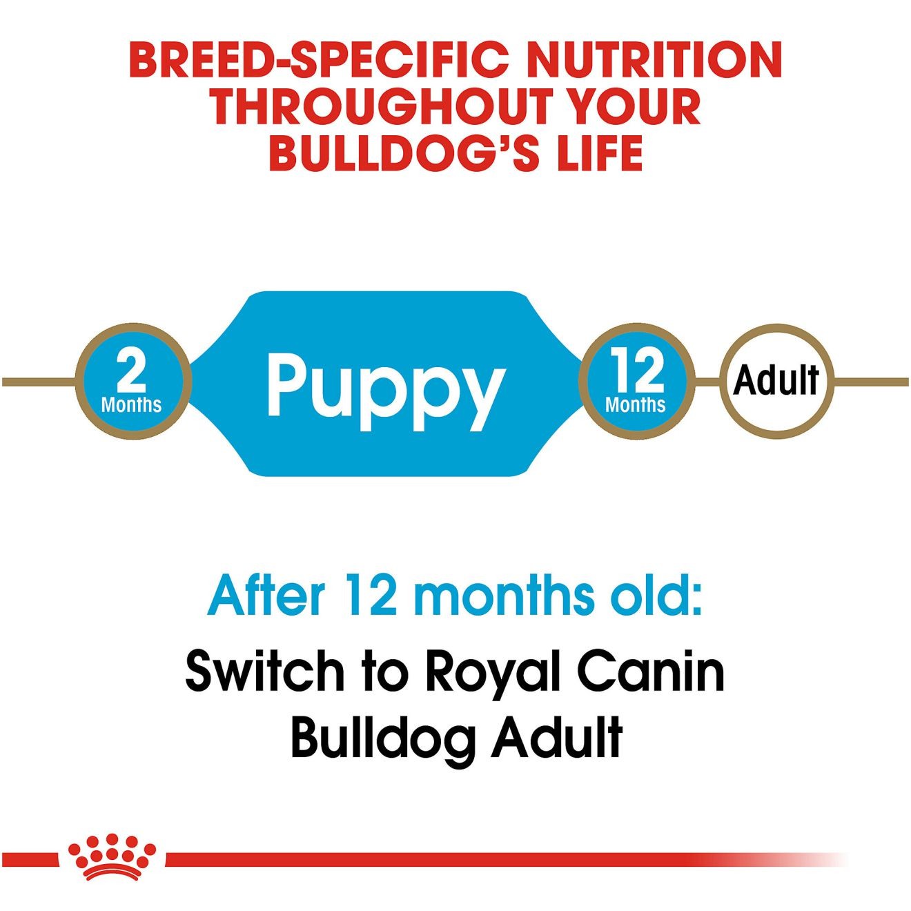 30lb Royal Canin Bulldog Puppy Dry Dog Food USA | 512374-LWJ