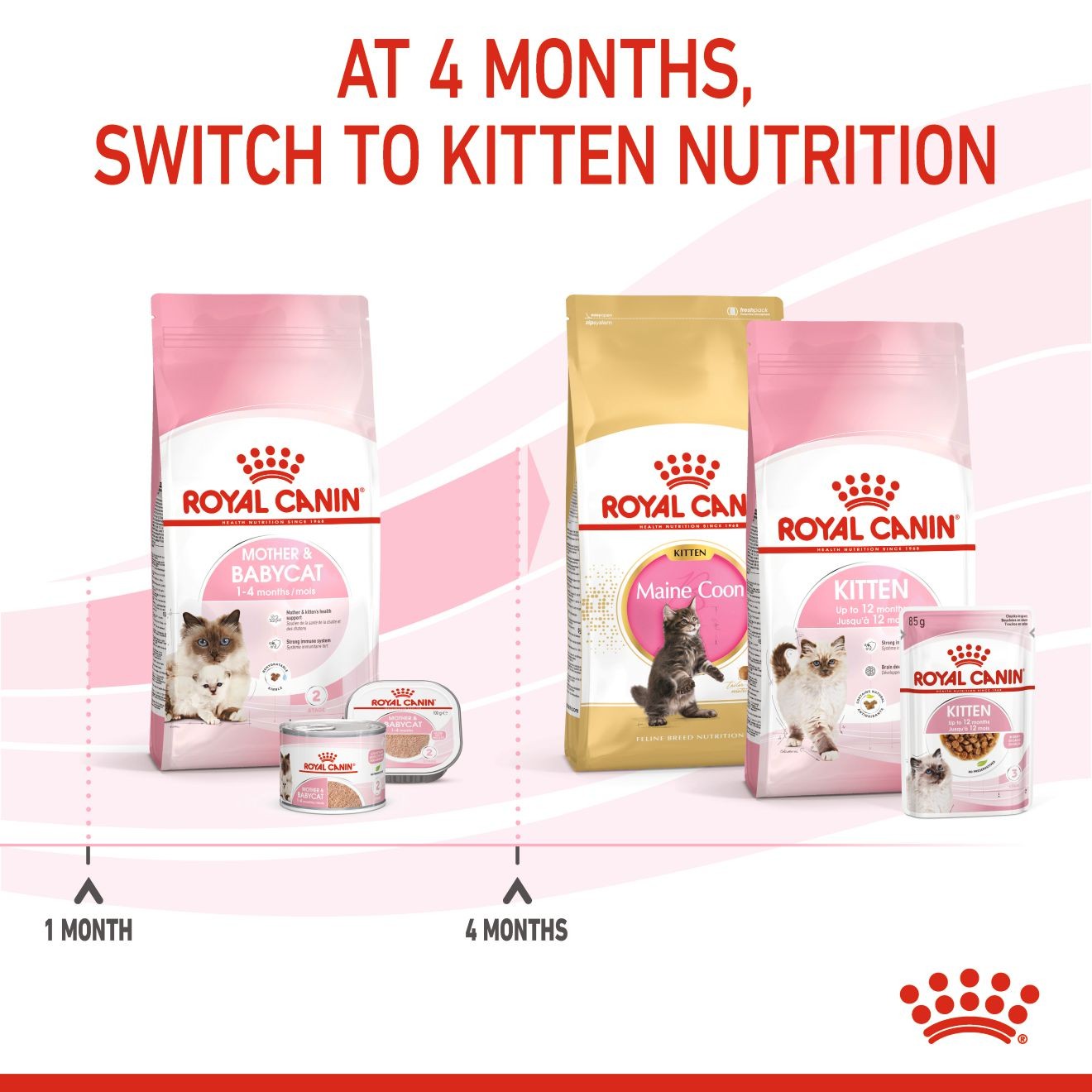 3lb Royal Canin Mother & Babycat Dry Cat Food USA | 704253-NIW