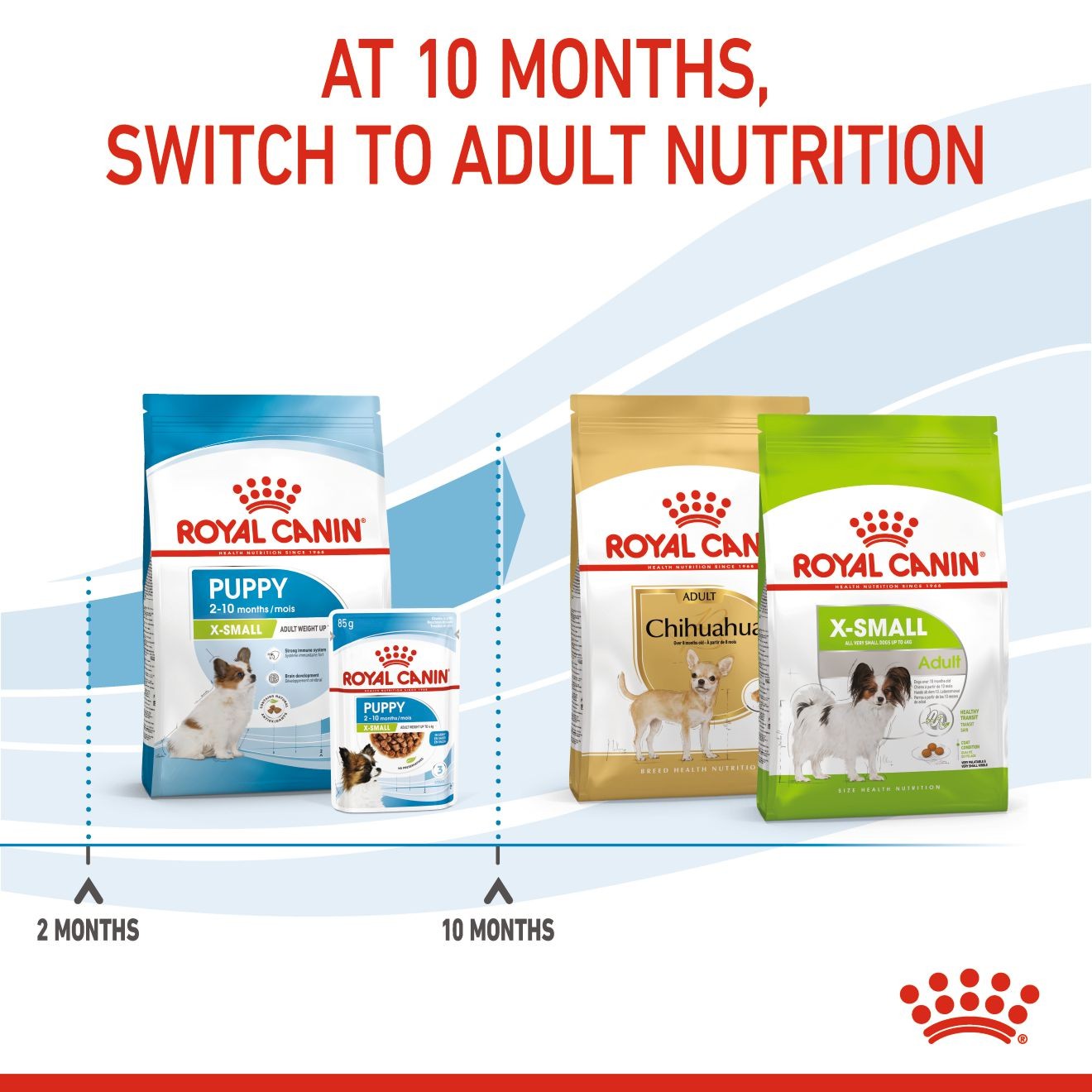 3lb Royal Canin X-Small Puppy Dry Dog Food USA | 871942-WAL