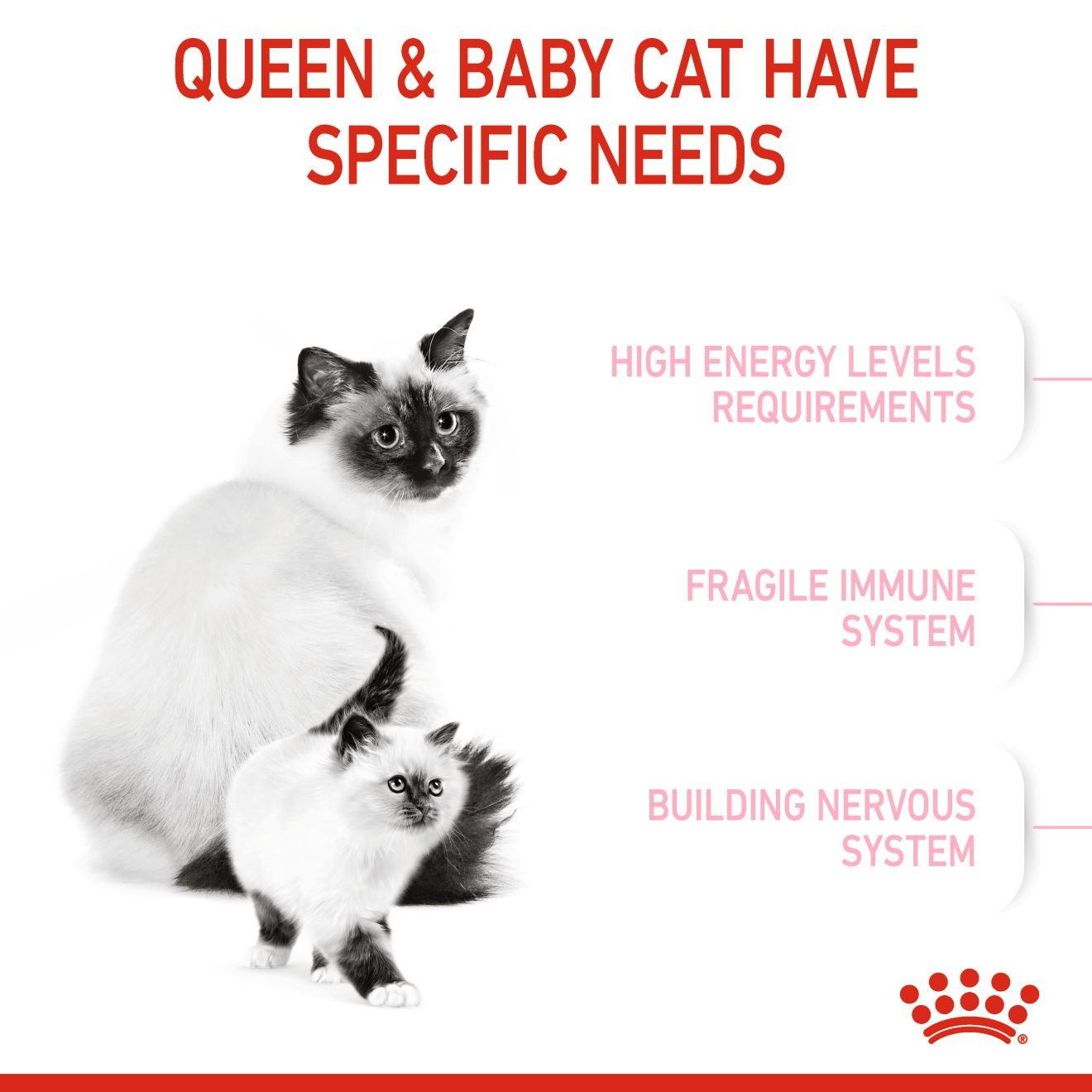 6lb Royal Canin Mother & Babycat Dry Cat Food USA | 372860-ZAQ