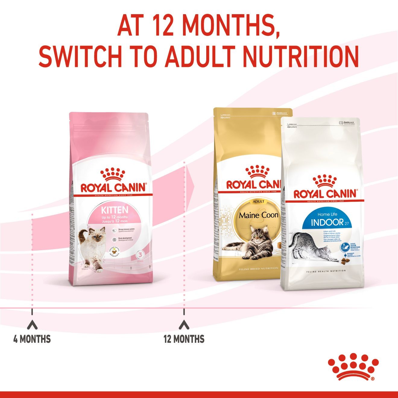 7lb Royal Canin Kitten Dry Cat Food USA | 961870-TYI