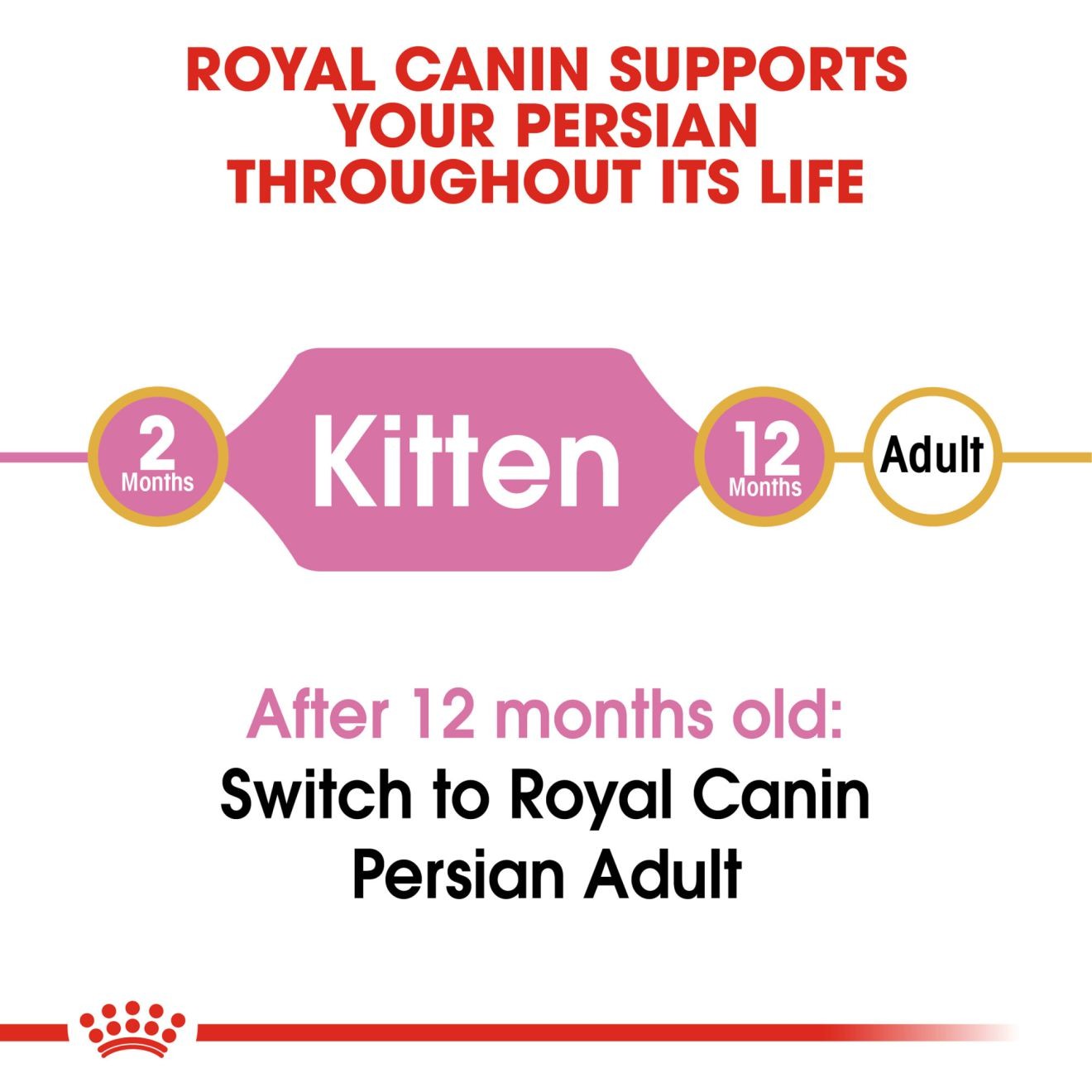 7lb Royal Canin Persian Kitten Dry Cat Food USA | 623574-EZV